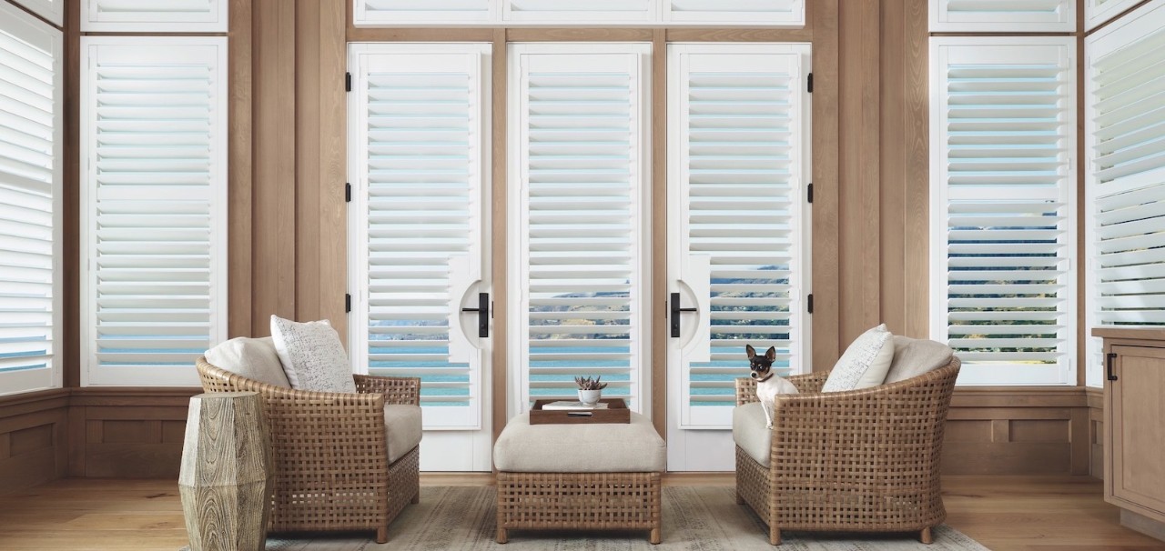 Patio door with blinds and pet door shop